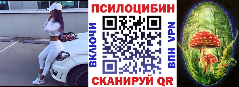 Галлюциногенные грибы Psilocybe OMG как войти Цоци-Юрт