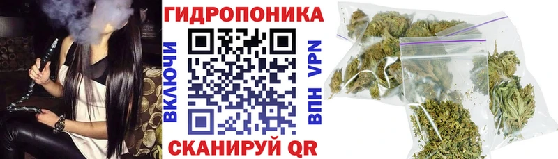 ссылка на мегу как войти  Цоци-Юрт  Конопля марихуана  магазин   